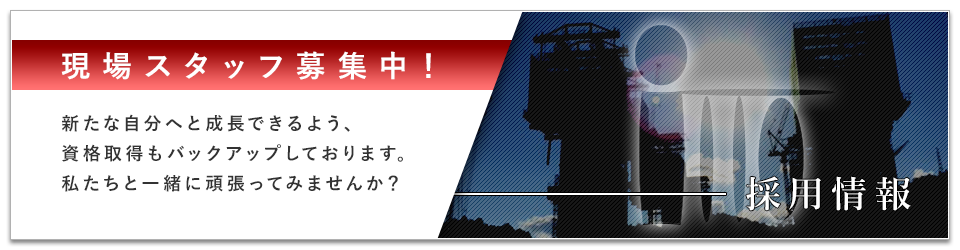 採用情報